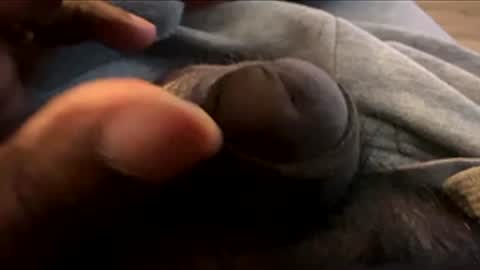 Snapshot of suggnight chatting on 01/07/26, 08:55 Let me be your knight that saves you online show from 01/07/26, 08:55