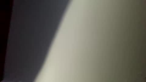 Snapshot of sulyrouse chatting on 12/10/24, 04:56 suly online show from 12/10/24, 04:56