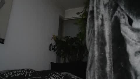 Snapshot of sundicksun chatting on 12/17/24, 07:59 s online show from 12/17/24, 07:59