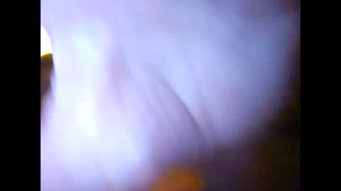 Suntroll online show from 02/07/25, 11:01