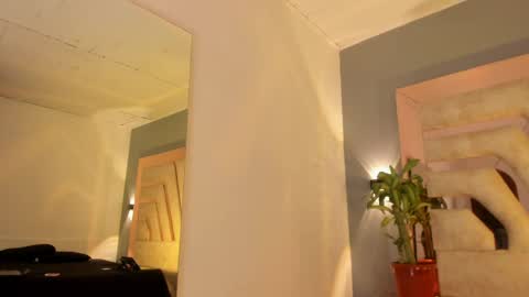  susi  online show from 04/26/26, 08:17