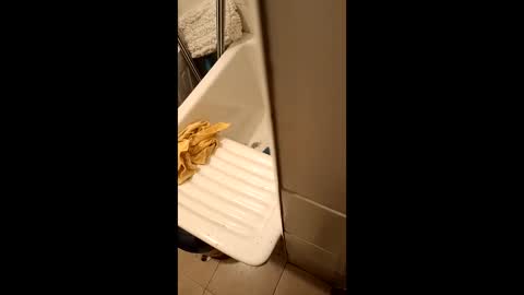 Snapshot of suso9092 chatting on 03/23/26, 11:42 suso9092 online show from 03/23/26, 11:42