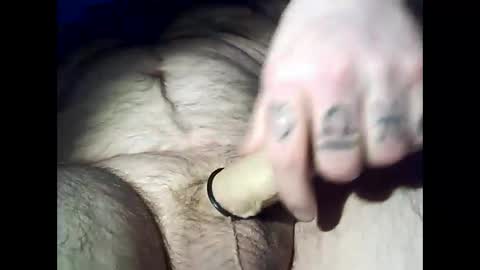 Snapshot of swedfred1 chatting on 12/28/24, 03:47 Brad online show from 12/28/24, 03:47