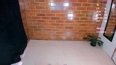 Stephanie online show from 02/08/25, 02:27