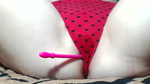 Kitten online show from 06/17/26, 05:54