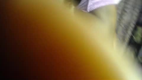 Kush online show from 06/22/26, 05:15