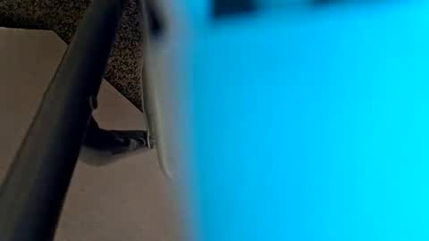 sweetboy842 online show from 01/28/25, 02:32