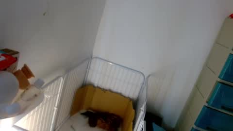 Lilly online show from 01/07/25, 05:20