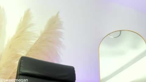 Snapshot of sweetmegan1_ chatting on 05/28/26, 04:54 La online show from 05/28/26, 04:54