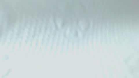 Snapshot of sweetnwildts chatting on 05/20/26, 02:51 Ghena online show from 05/20/26, 02:51