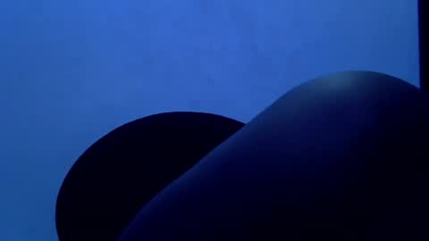 LILY BRANDY online show from 05/01/26, 06:23