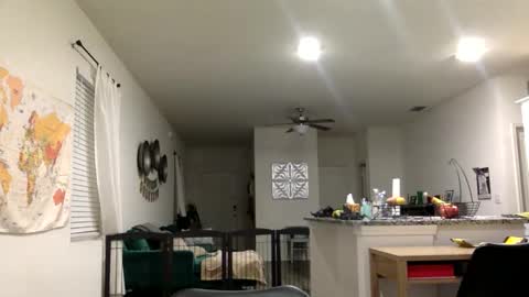 Snapshot of sweetriddance chatting on 03/01/26, 11:34 sweetriddance online show from 03/01/26, 11:34