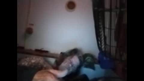 Snapshot of sweetsugar64 chatting on 03/08/26, 06:17 sweetsugar64 online show from 03/08/26, 06:17