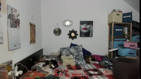 Snapshot of switchlorenx chatting on 02/13/26, 11:45 switchlorenx online show from 02/13/26, 11:45