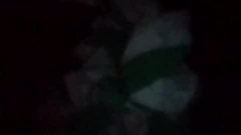 swollpole2112 online show from 05/16/26, 06:43