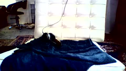 Snapshot of syd666 chatting on 12/16/24, 02:05 subfordomme online show from 12/16/24, 02:05