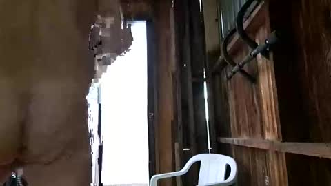 syevecrl online show from 10/27/25, 12:47