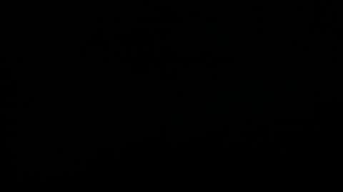 Mila online show from 11/18/25, 08:30