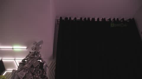 TAANNI online show from 02/05/25, 08:21