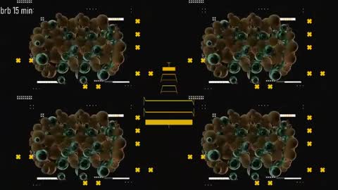 TAANNI online show from 05/04/26, 07:54