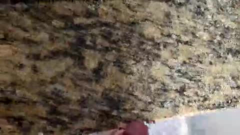 Snapshot of tacitblue7 chatting on 03/02/26, 04:47 Canon online show from 03/02/26, 04:47