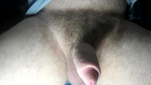 mr taco online show from 01/30/25, 08:21