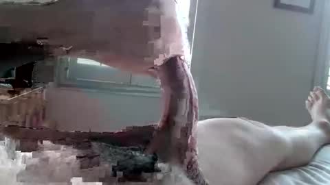 Snapshot of tactful1 chatting on 04/03/26, 05:11 Tactful1 online show from 04/03/26, 05:11