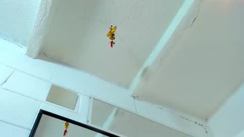 Snapshot of tafari_1 chatting on 03/02/26, 05:08 Tafari Zulu online show from 03/02/26, 05:08