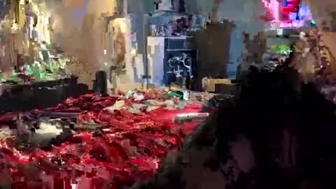 tailorfitted online show from 10/16/25, 10:38