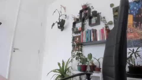 Snapshot of talimajid chatting on 11/26/25, 11:44 Tali Majid online show from 11/26/25, 11:44