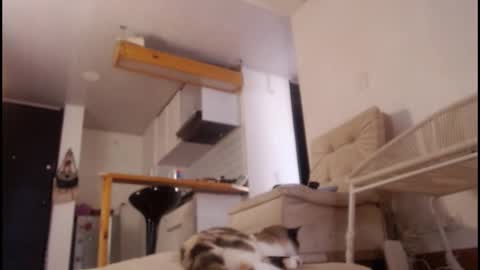 Tamara online show from 03/15/26, 08:15