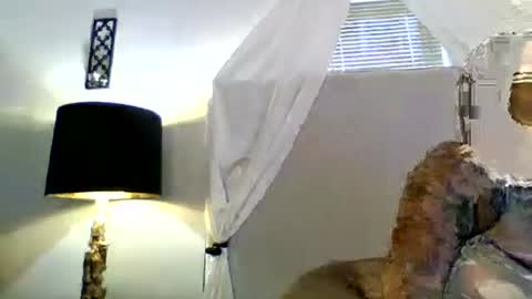 Tammygold online show from 06/23/26, 07:23