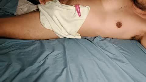 Snapshot of tanteiharvest chatting on 02/26/25, 06:47 Harv online show from 02/26/25, 06:47