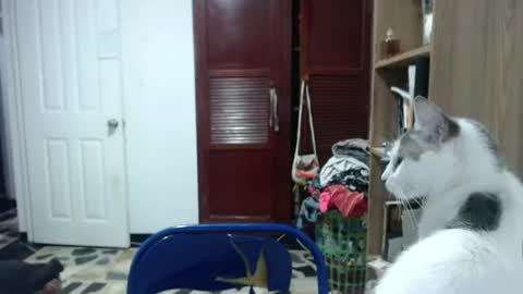 Snapshot of tantricroots chatting on 06/11/26, 01:05 Angeline Follow online show from 06/11/26, 01:05