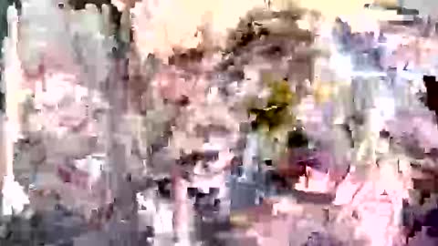 Tara online show from 11/19/25, 02:44