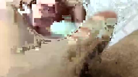tarek088 online show from 04/30/26, 11:09