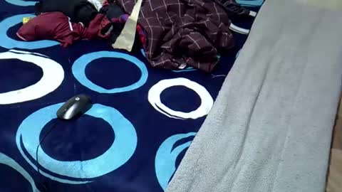 tastie_t online show from 11/01/25, 06:04