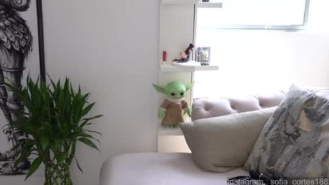 Snapshot of tatiana__cortes18 chatting on 01/30/25, 06:32 Sofia But You can call me Sofi online show from 01/30/25, 06:32