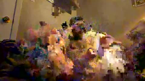 Snapshot of tatt2dood chatting on 11/17/25, 03:34 tatt2dood online show from 11/17/25, 03:34