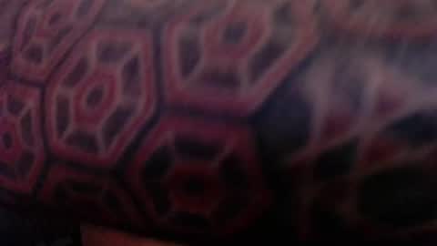 tatted420stoner online show from 10/05/25, 03:27