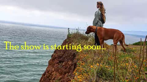 Snapshot of tatum__kahlo chatting on 02/28/26, 12:00 TATUM ALL MY LINKS online show from 02/28/26, 12:00