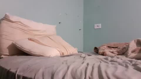 Snapshot of taulerfox chatting on 11/22/25, 05:28 Caito online show from 11/22/25, 05:28