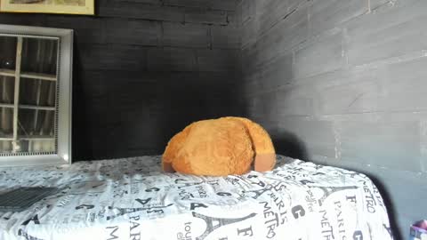  T A U R U S  online show from 01/17/25, 06:02