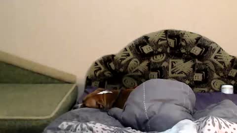 Snapshot of tayagirl chatting on 02/04/25, 11:27 Taya online show from 02/04/25, 11:27