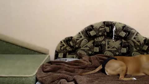 Snapshot of tayagirl chatting on 12/16/25, 07:30 Taya online show from 12/16/25, 07:30