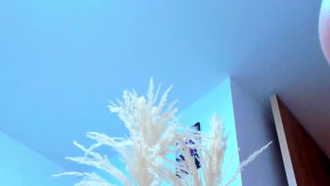 Snapshot of tayler_swift1 chatting on 02/13/26, 06:37 tayler_swift1 online show from 02/13/26, 06:37