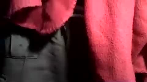 taylor3made online show from 06/21/26, 02:58