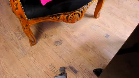 Snapshot of taylorfemdom chatting on 12/15/24, 10:37 Mistress Taylor online show from 12/15/24, 10:37