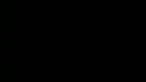 taylorsguy online show from 05/08/26, 02:39