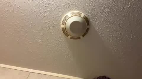 Snapshot of tbeebe12 chatting on 10/27/25, 10:58 Lilbeebs online show from 10/27/25, 10:58